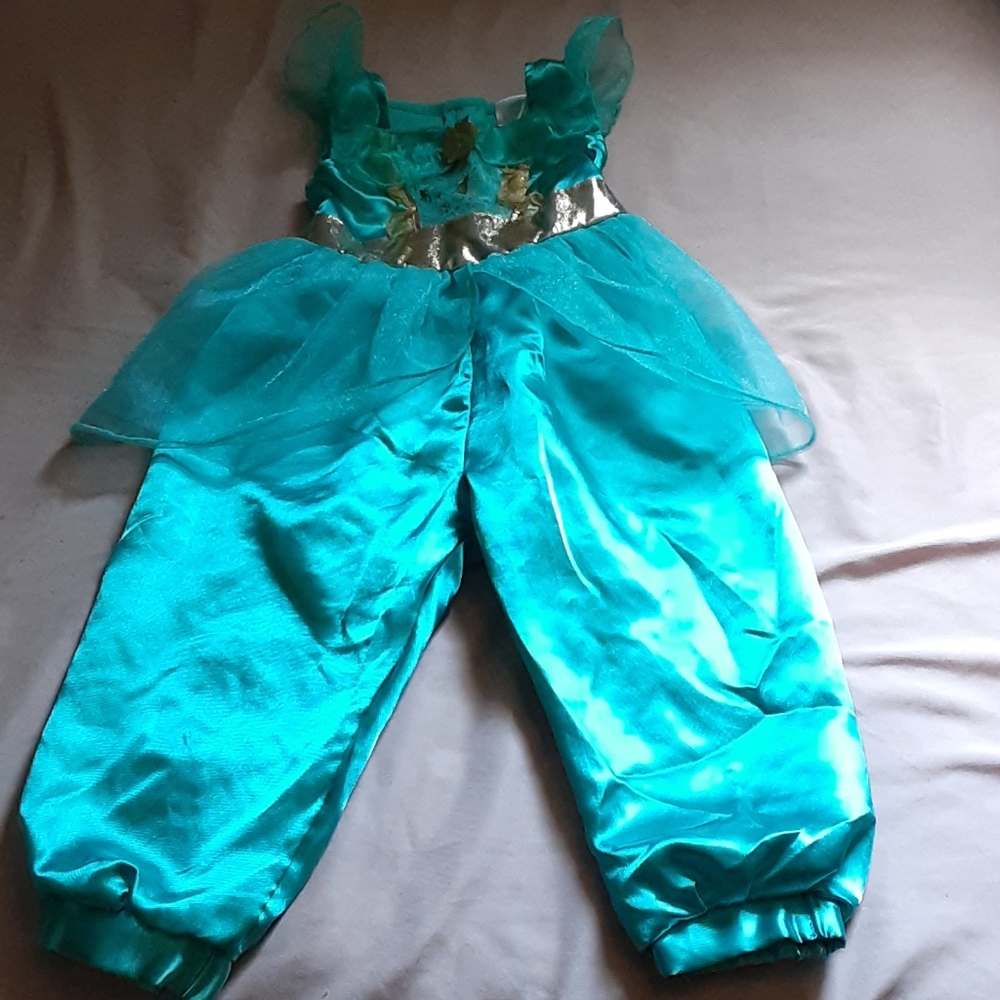 Princess Jasmine costume